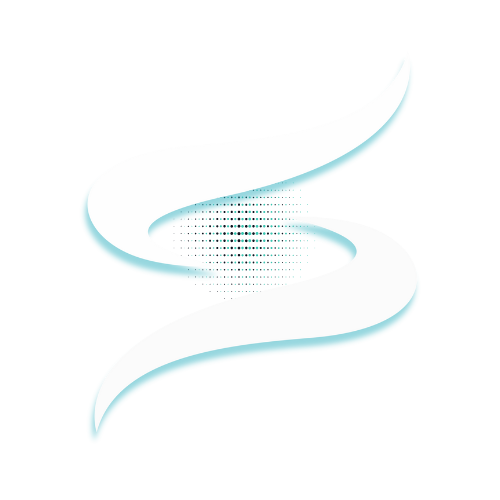 Synapse B2B Logo